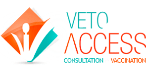 www.veto-access-brest.com Logo